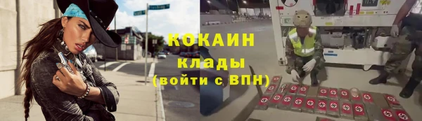 стаф Каменка