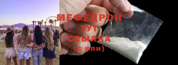 стаф Каменка
