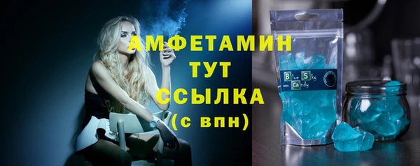 стаф Каменка