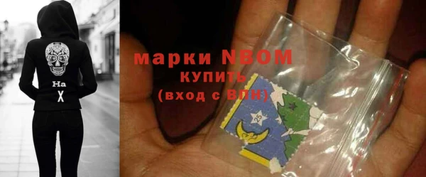прущие грибы Касимов