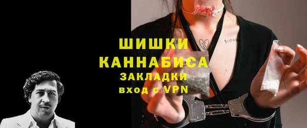 гашик Инсар