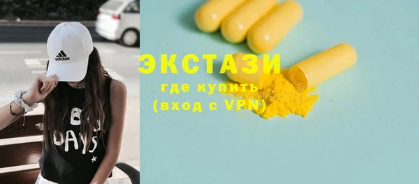 стаф Каменка