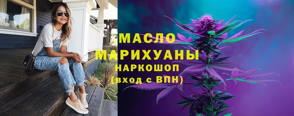 гашик Инсар